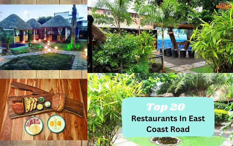 Top 20 Restaurants In East Coast Road