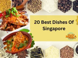 20 Best Dishes Of Singapore
