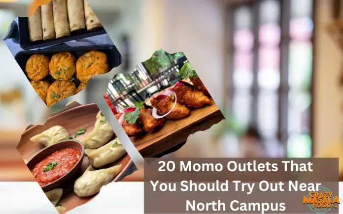 20 Momo Outlets That You Should Try Out Near North Campus