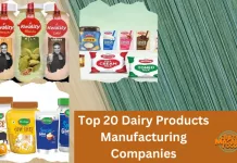 Top 20 Dairy Products Manufacturing Companies