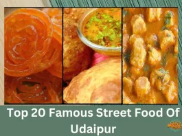Top 20 Famous Street Food Of Udaipur Top 20 Famous Street Food Of Udaipur