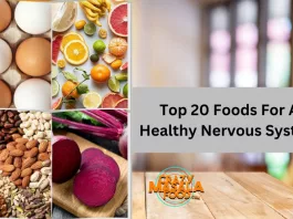 Top 20 Foods For A Healthy Nervous System