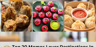 Top 20 Momos Lover Destinations In Aliganj-Kapoorthala Zone Lucknow