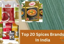 Top 20 Spices Brands In India