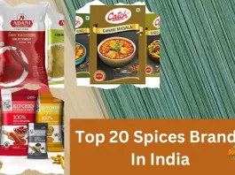 Top 20 Spices Brands In India