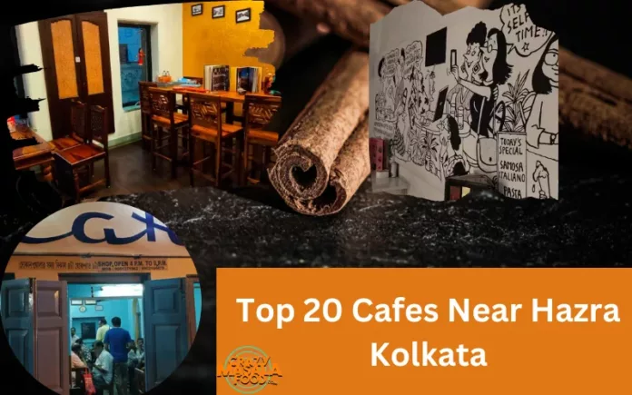 Top 20 Cafes Near Hazra Kolkata
