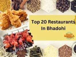 Top 20 Restaurants In Bhadohi