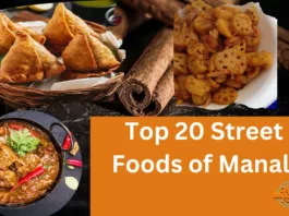 Top 20 Street Foods of Manali