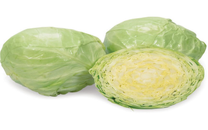 cabbage