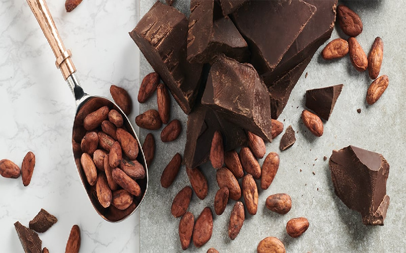 fermented-chocolate fermented-chocolate
