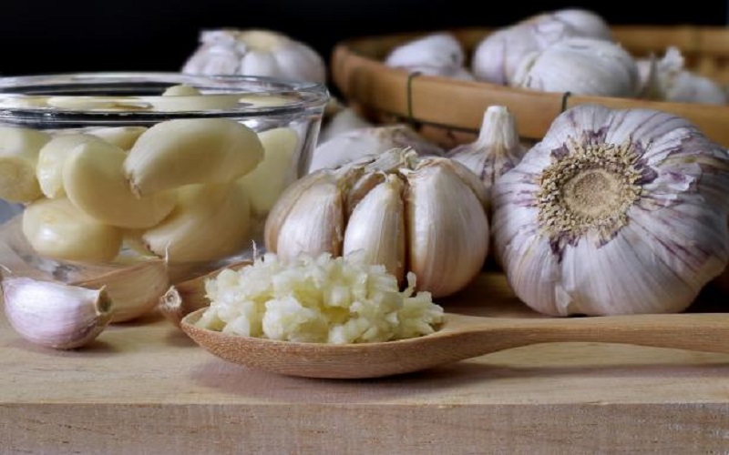 garlic