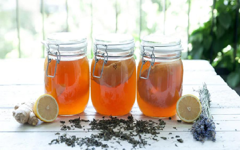 kombucha kombucha