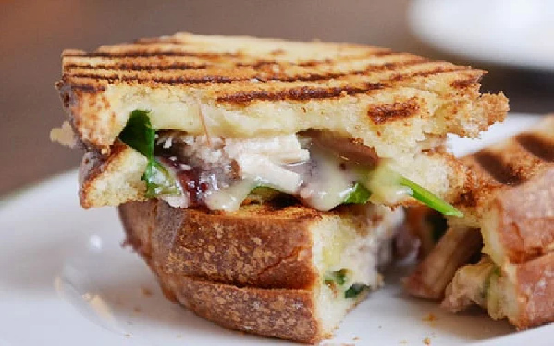 turkey-and-cranberry-panini