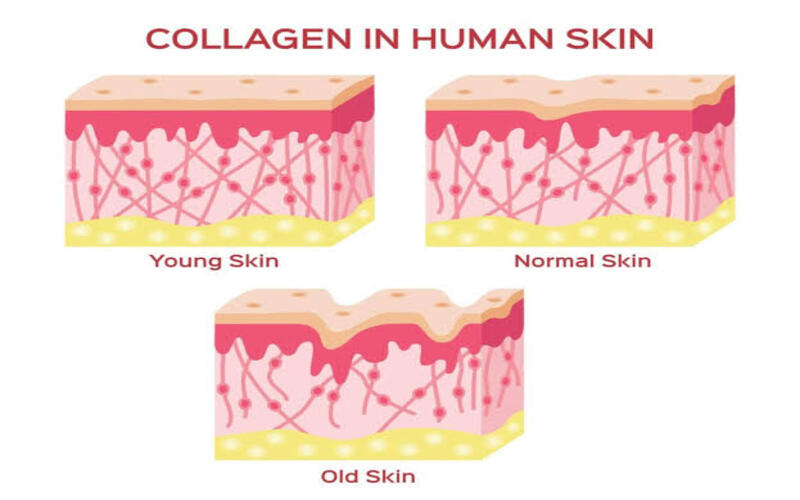 boosts-collagen-production