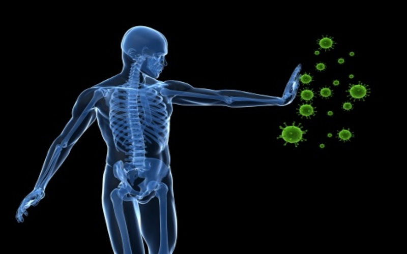 boosts-the-immune-system