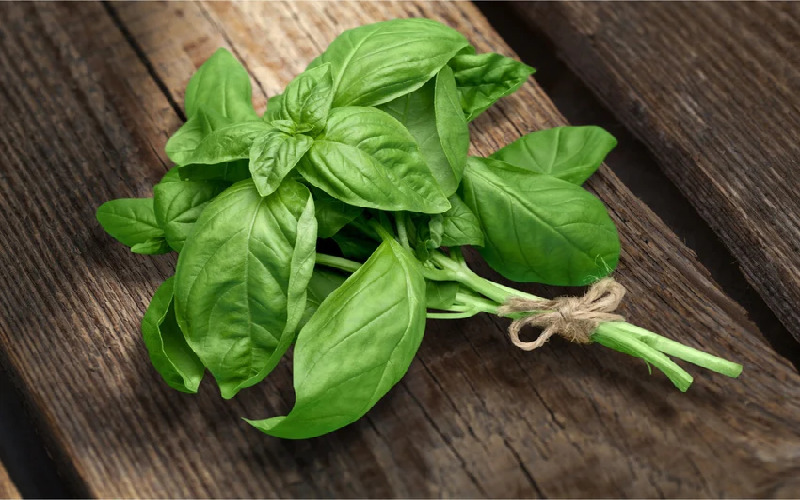 fresh-herbs-at-the-end