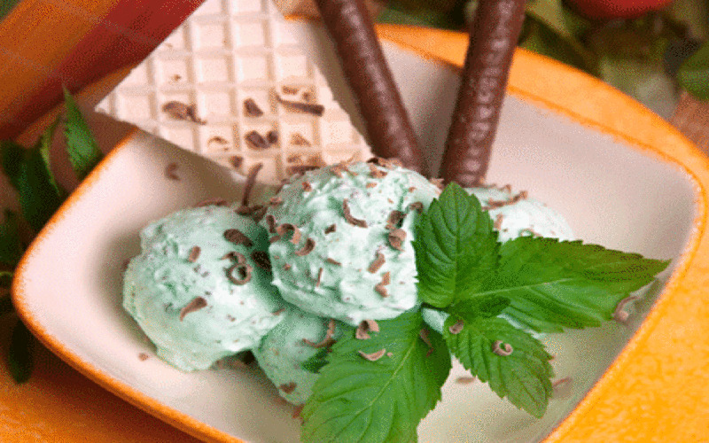 mint-chocolate-chip-ice-cream