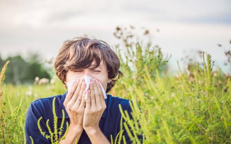 reduces-the-intensities-of-allergies