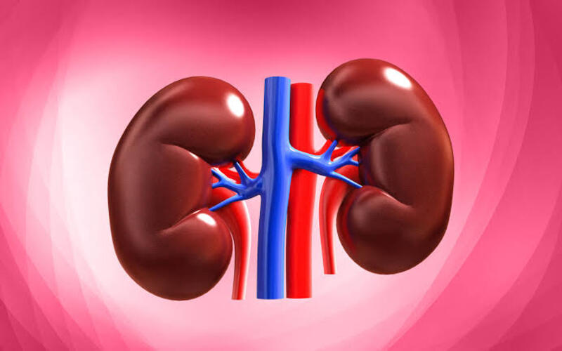 relieves-kidney-stones