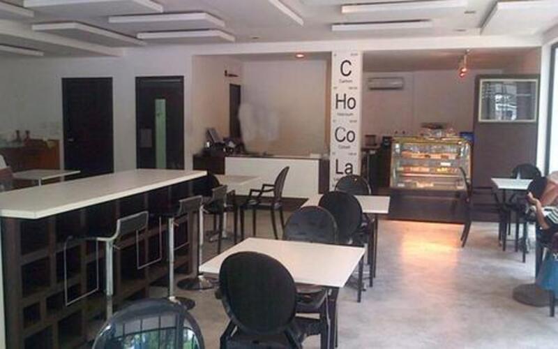 sandys-chocolate-laboratory