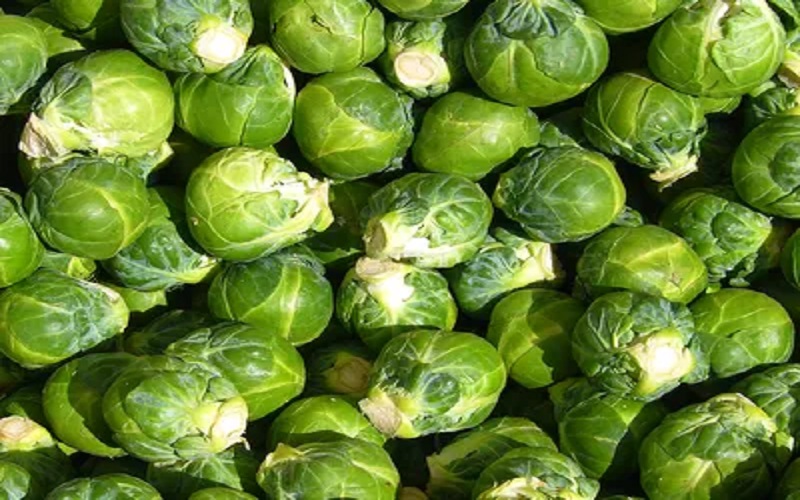 brussels-sprouts