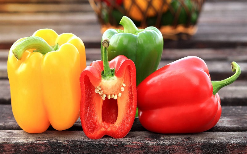 capsicum