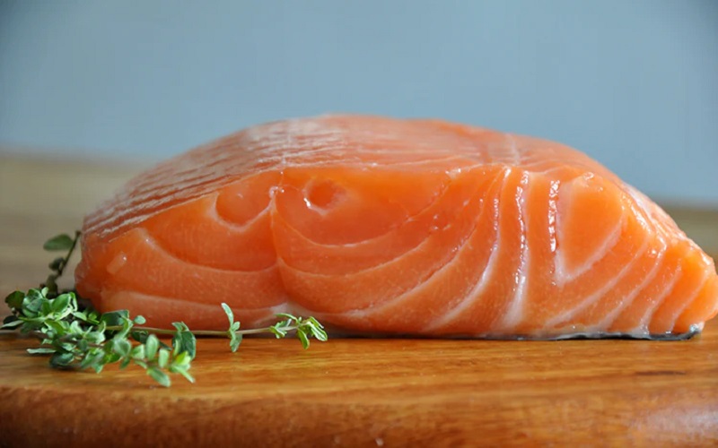 salmon
