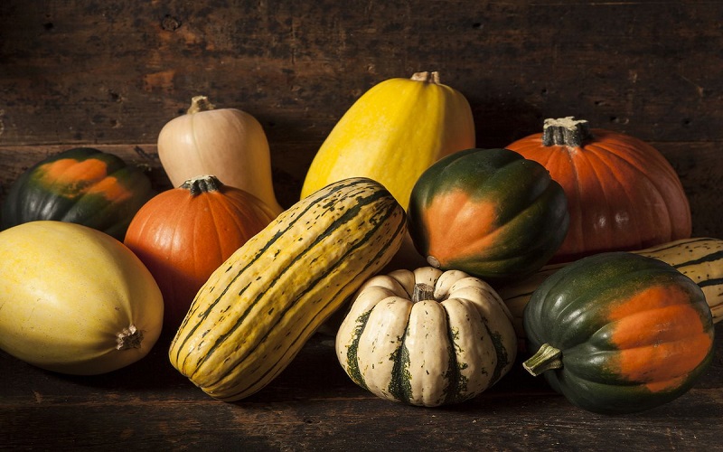squash