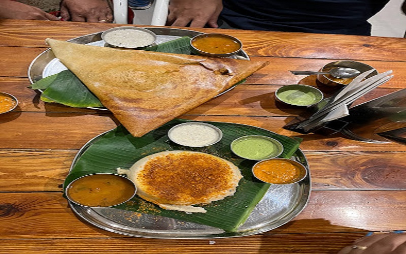 udupi-gokula udupi-gokula