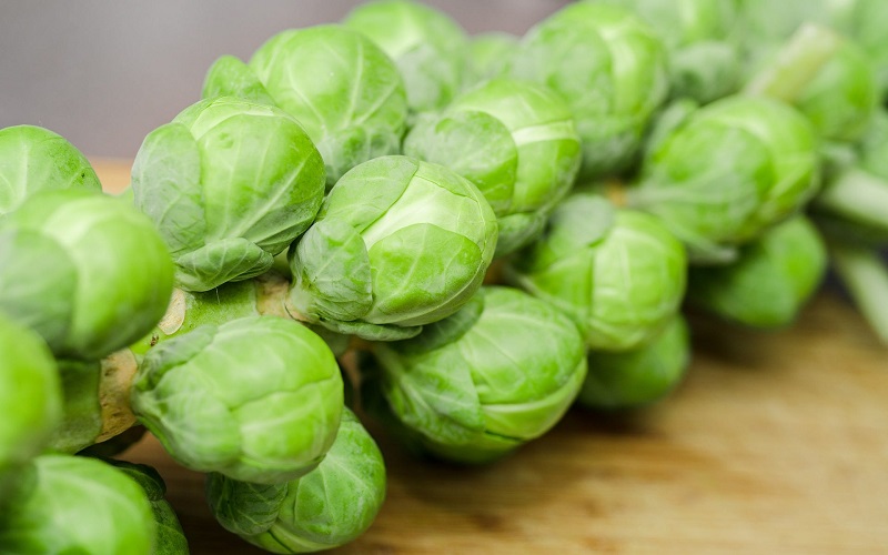 brussel-sprouts