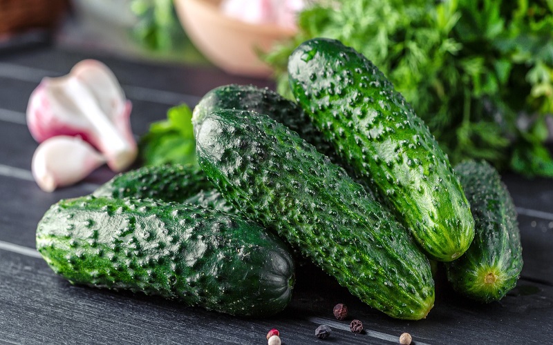cucumber