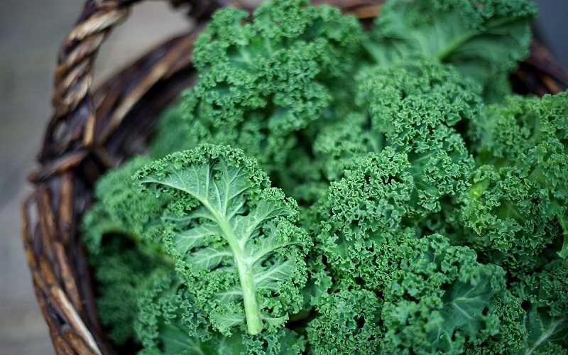 kale