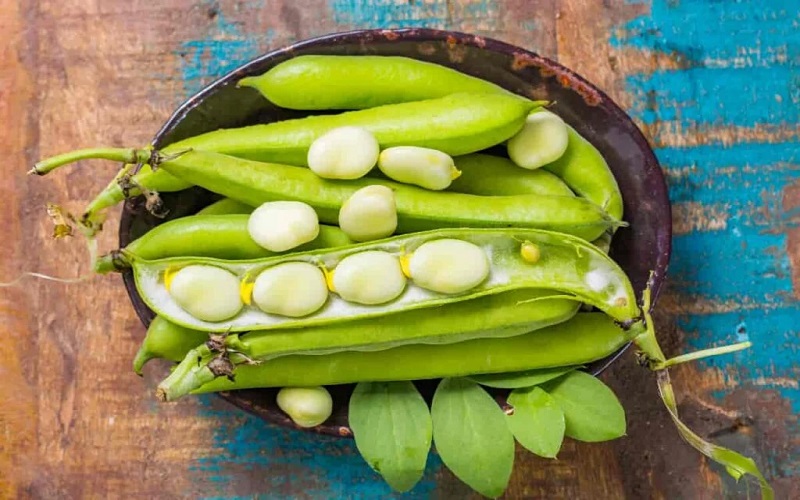 lima-beans
