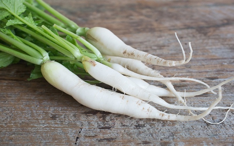 radish