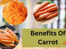 Benefits Of Carrot