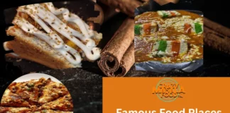 Famous Food Places In Yavatmal