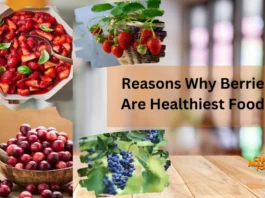 Reasons Why Berries Are Healthiest Foods