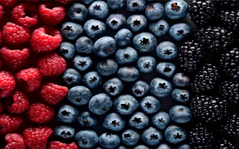 antioxidants