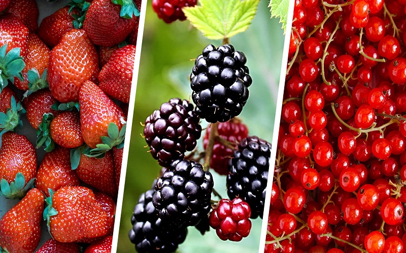 improve-blood-sugar