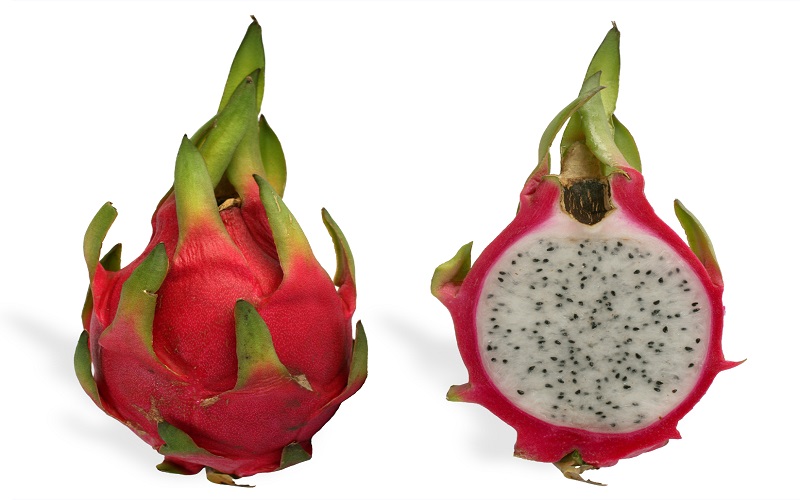 loaded-with-fiber