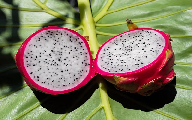 loaded-with-nutrients