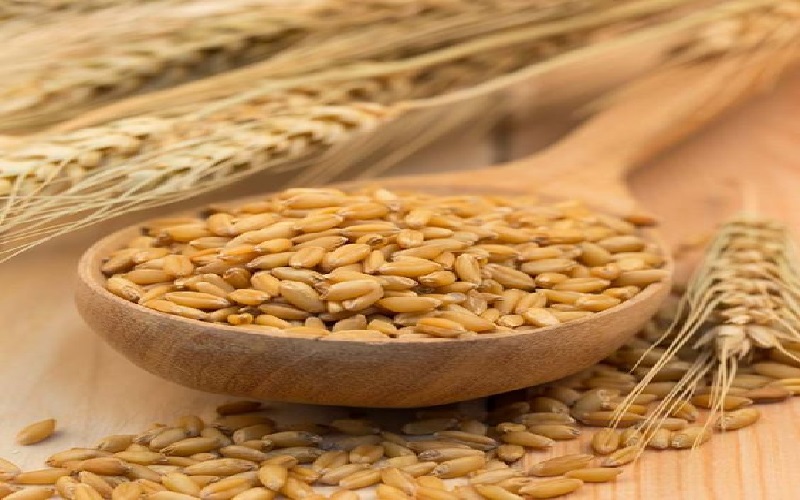 barley