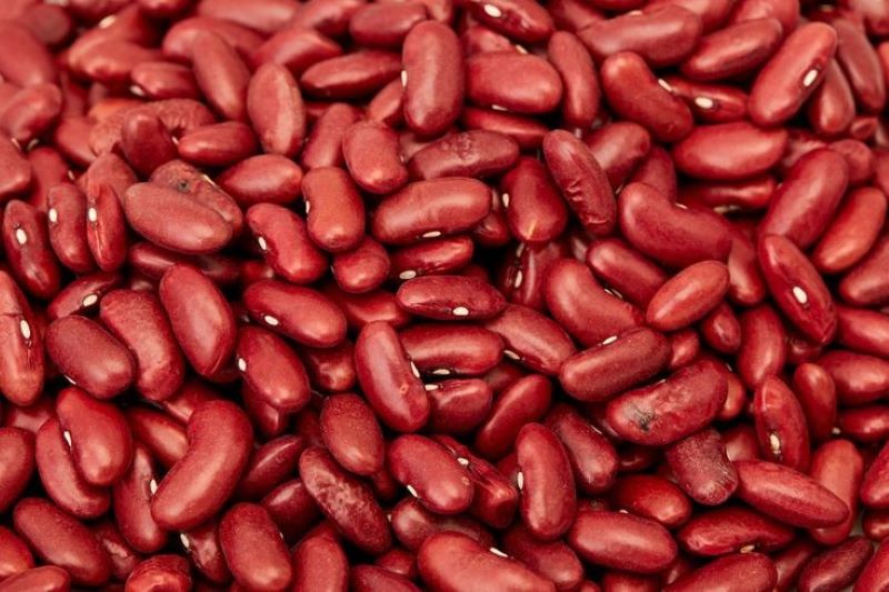 beans