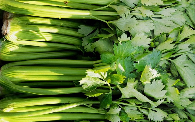 celery