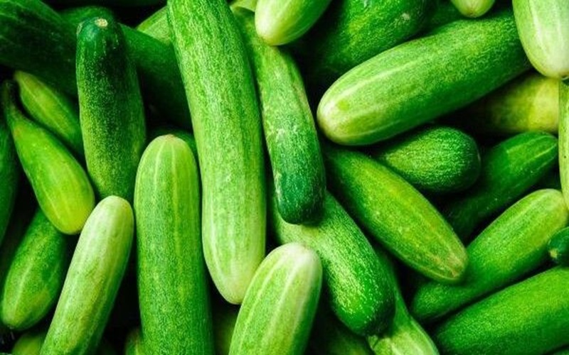 cucumber