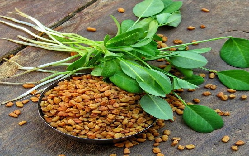 fenugreek-methi