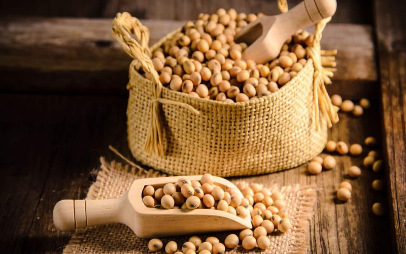foods-with-soy foods-with-soy