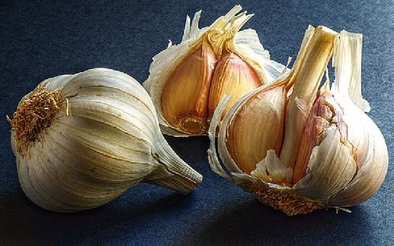 garlic