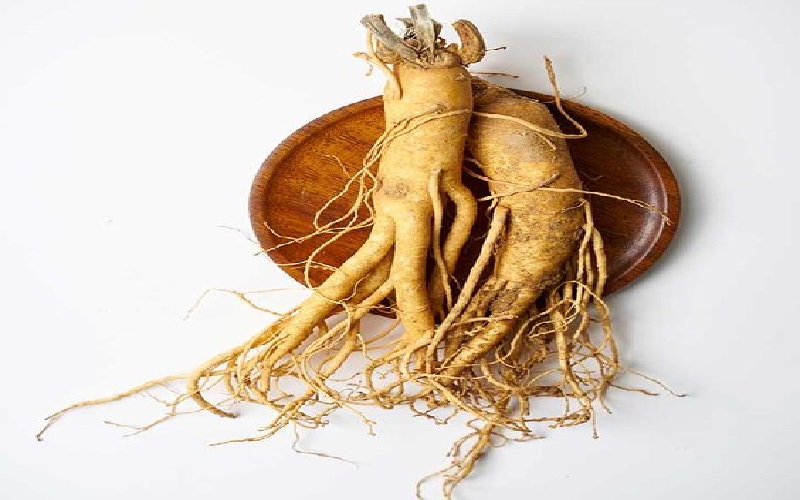 ginseng