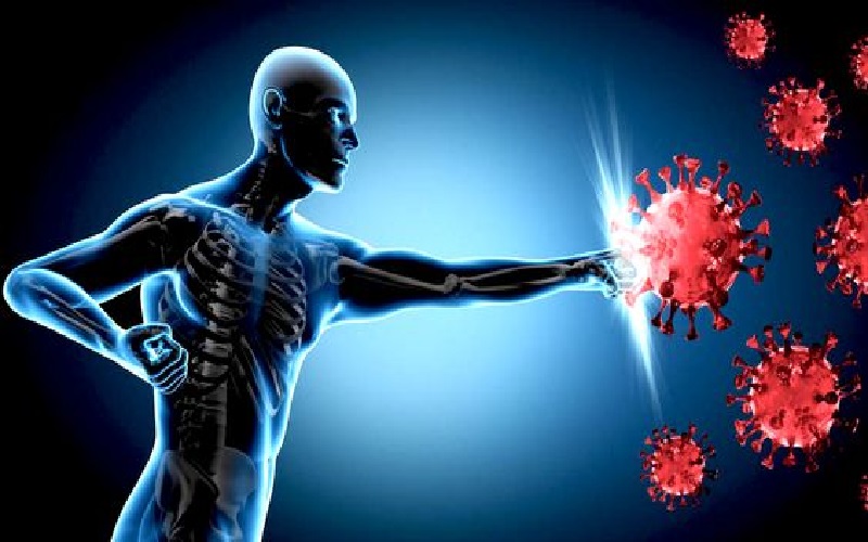 immunomodulator
